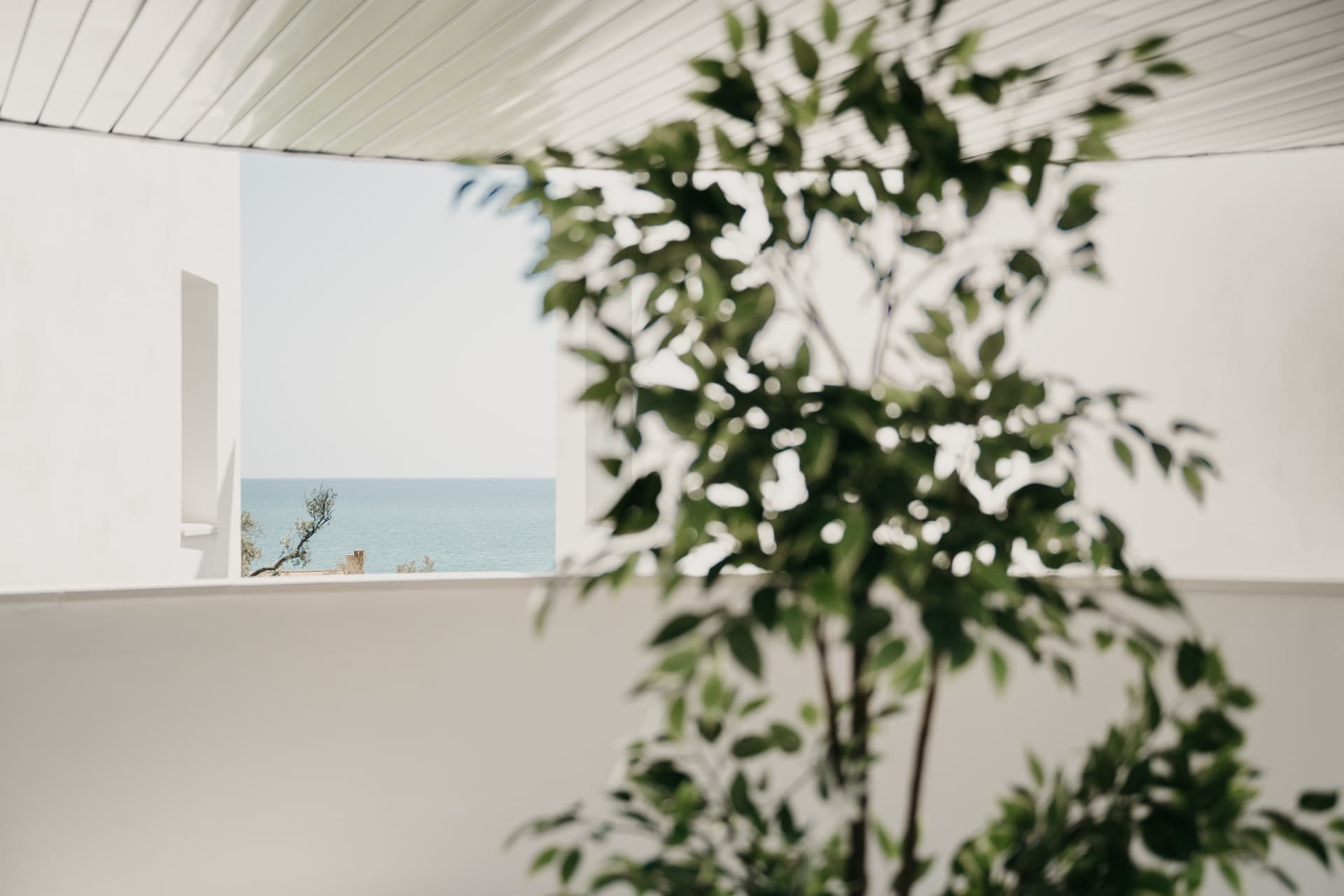 Rincón ajardinado con vegetación y ventana abierta al mar